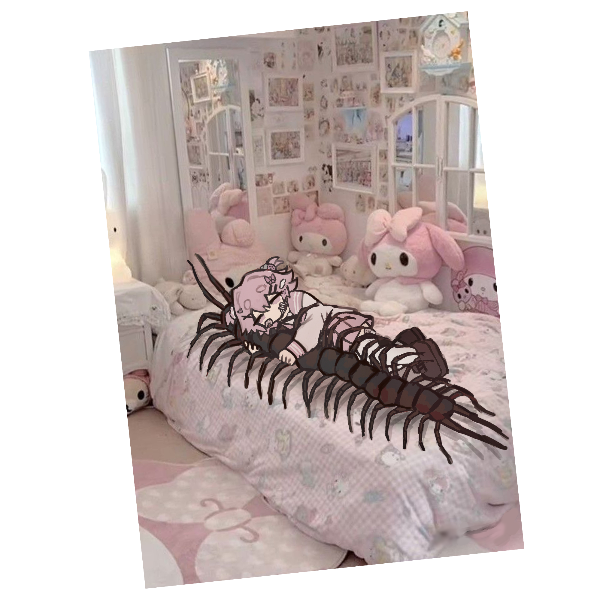 centipede in bed