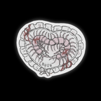 meow pink centipede sticker