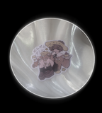 pompompurin sticker